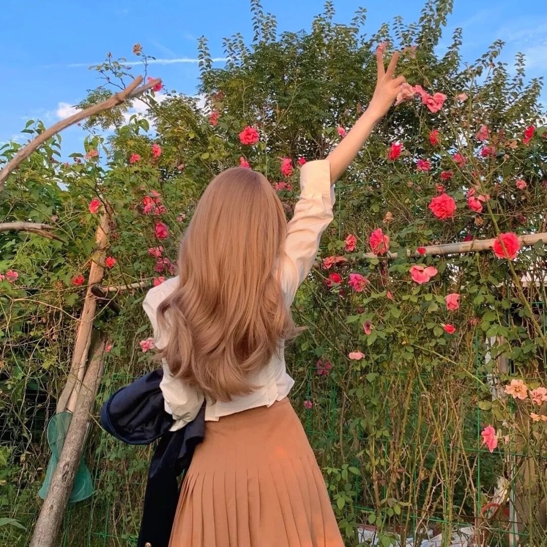 我的新野蛮女友